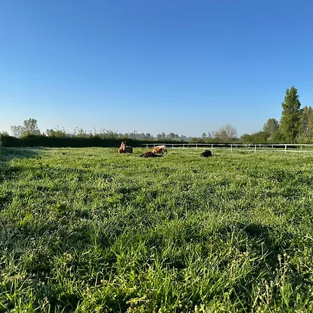 ô Coeur Des Champs * Réty