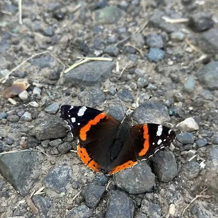 Hébergement de vacances ô Coeur Des Champs Réty